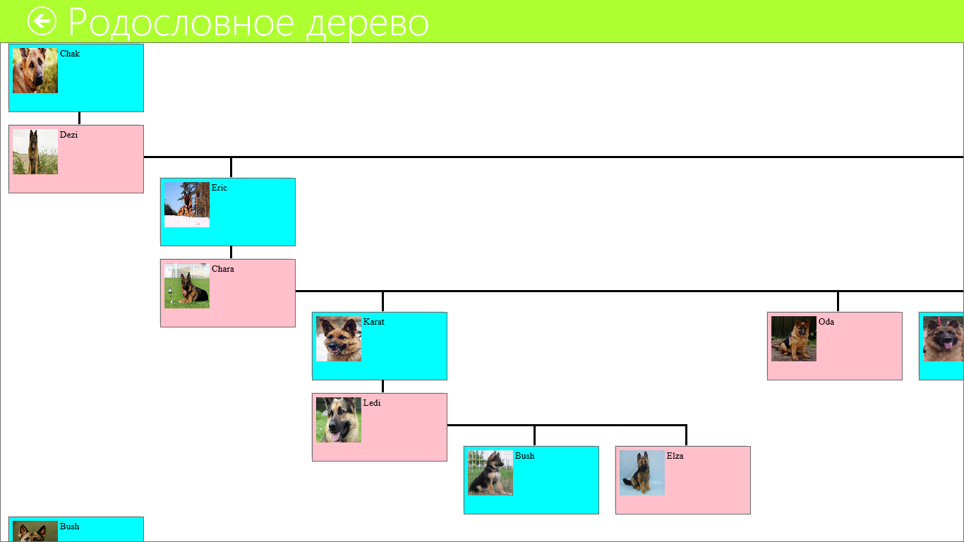 Pedigrees of animal branches