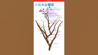 Значок видео "Генеалогическое древо 3D Family Tree 3D for iOS/MacOS  #shorts #familytree.ru #myprg.ru  #genealogy"